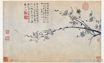 不向命运低头——读《残狼灰满》有感