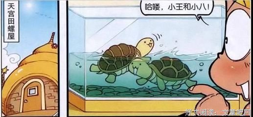“分类有道，永续‘规’宝”实践团赴山东省济南市和平里小区进行