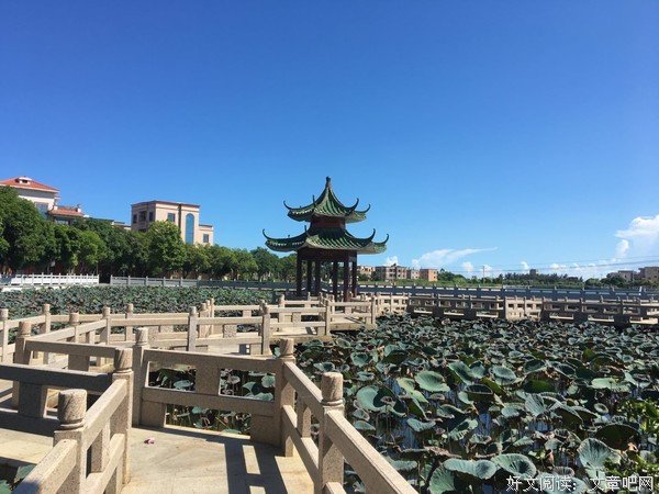 美丽的蛤岭村——“森林木”社会实践队