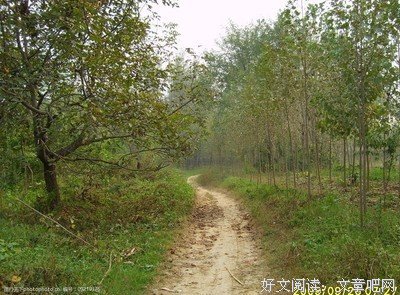 归鄉实践队三下乡记录