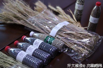  旅寓心声，文耀沣水”实践调研团赴张店区天主教堂进行调研