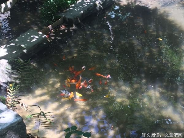 7月30日“多彩乡村”活动心得