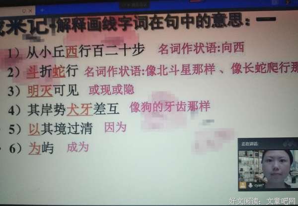 步履不停，向学不止——岭师万人辅导志愿活动