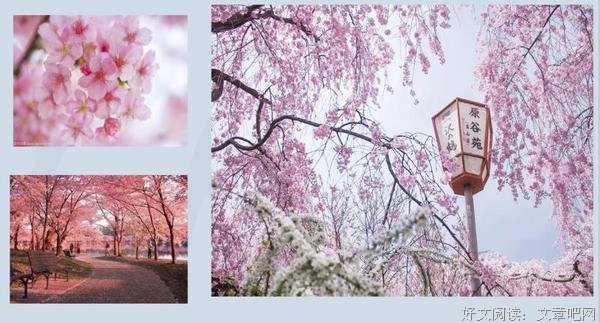 与“小芽”一起线上畅游中国