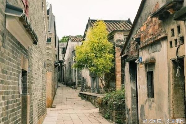 岭师学子三下乡：走进凤凰古村的建筑