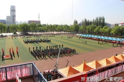 “启明星”线上之教实践成果