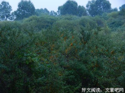 调研扶贫心得体会 授人以鱼不如授人以渔