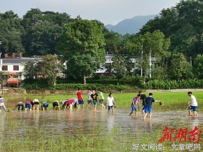 走进“锄禾”调研实践队三下乡之旅