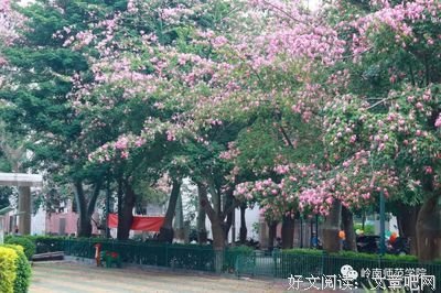 岭师学子三下乡：垃圾分类，我们在行动