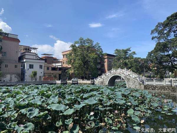 沙滘古村历险记