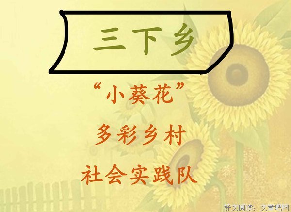 “小葵花”乡村实践队，线上探索多彩乡村的奥秘