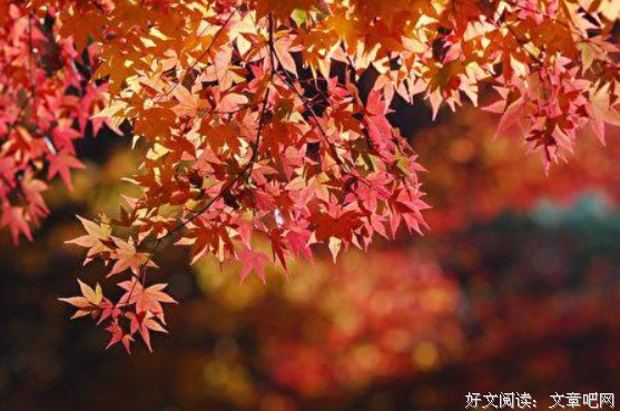 蓦然回首之旅 错入美丽的执著