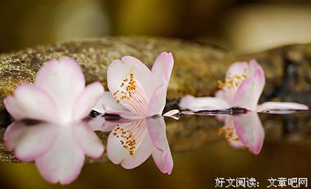 给出另外的一种选择