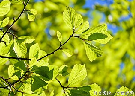 很多非此即彼的评判，其实并没有绝对的界限