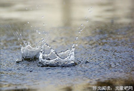 海带与海鲜