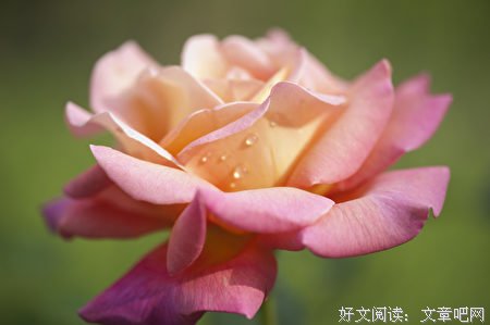 其实你很美丽