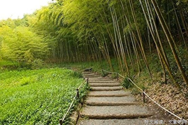 我们眼睛看到的现象往往是不全面的，需要更深入的了解才能搞清楚