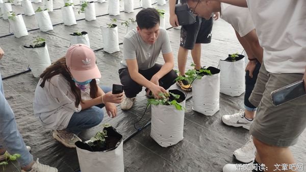 逐梦莒南·“乡”约振兴实践调研团赴洙边镇以色列现代农业科技示
