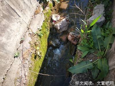 记我的三下乡