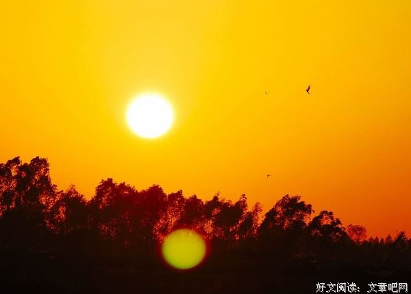 清风徐来，我想“收藏一束夕阳”