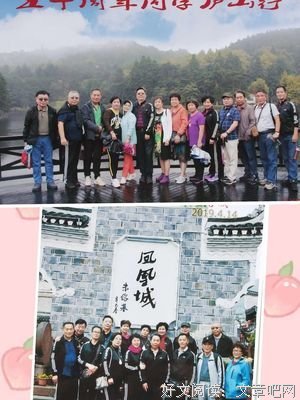 “有心栽花花不开，无心插柳柳成荫”你遇见过吗？