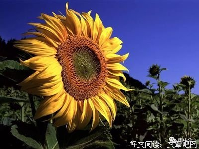 问心无愧，做人不累