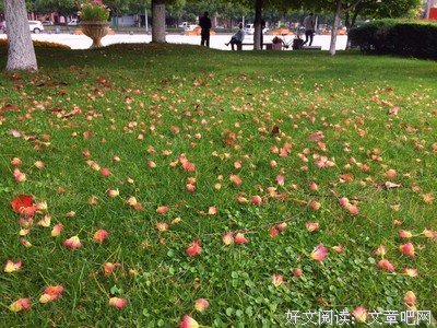 每一个你，都值得被岁月温柔以待