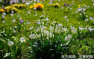 贵人+努力，是人生最宝贵的财富