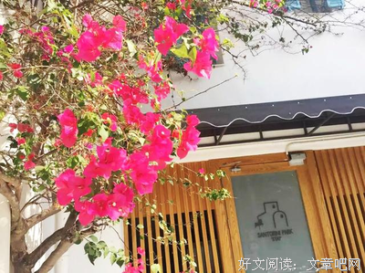 牵骆驼的男孩