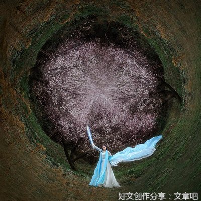 有一种花，开在年轮里