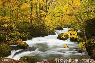 秋天的记忆