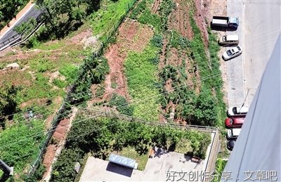 菜地小得