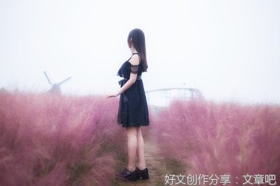 粉黛乱子草