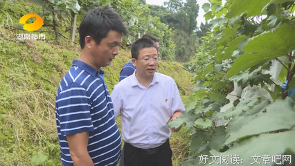 年轻干部勿做“空转”的“陀螺”