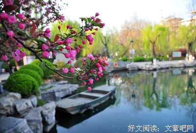 海棠，花成海