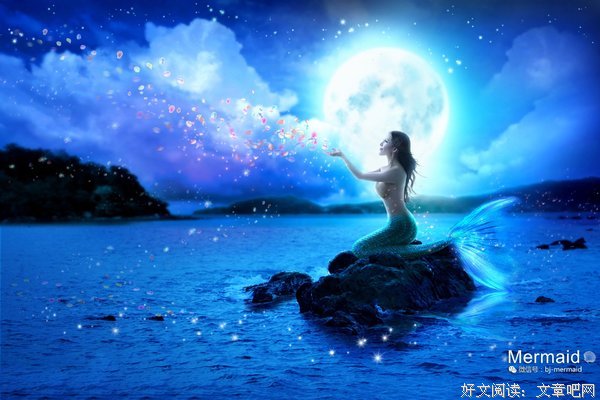 美人鱼对你说不要乱扔垃圾