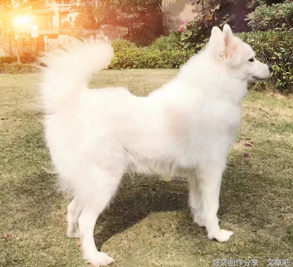 想我家一一了