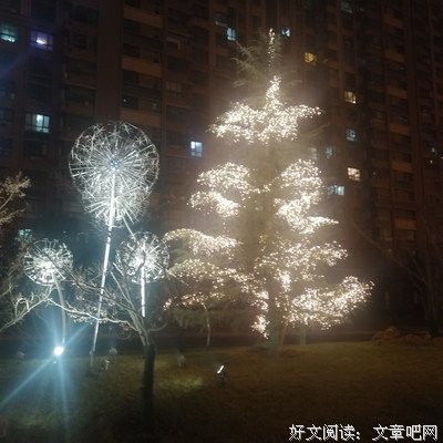 孤独与光，也是你
