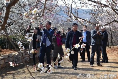 留不住月的光