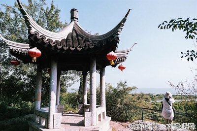 你只会给我小岛， 却从不会给我岸。