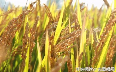 对人礼貌周到，胜过求一万张人缘符