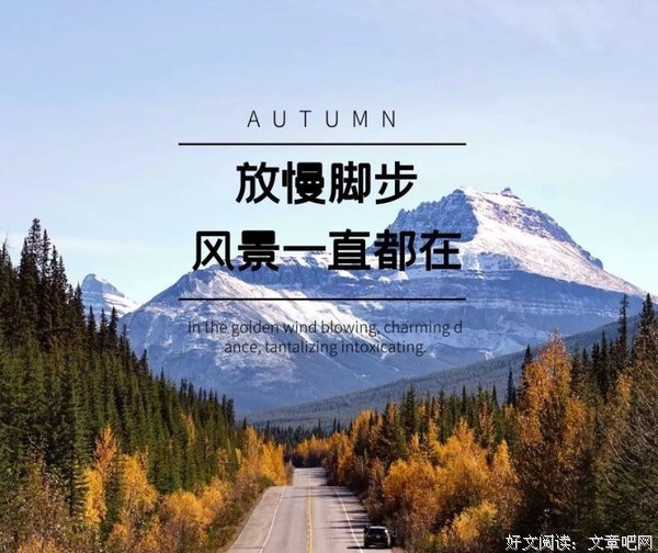 步子还是得一步一步踏实的走，没有翅膀就别上天