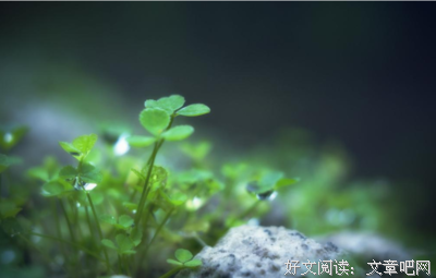 为什么总要在来不及的时候才懂得后悔呢