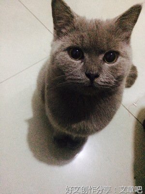 我好想知道什么样的家才算是温暖的家？