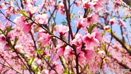 这就是迷失
