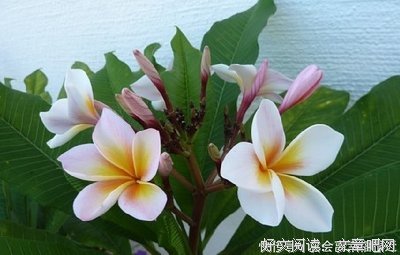  别喊穷，没有人会给你钱