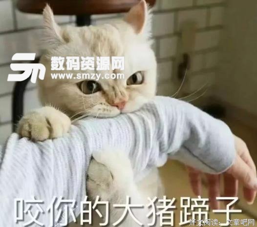 男生都是大猪蹄子
