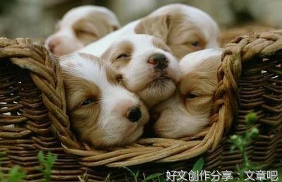 想要快乐的恋爱得先学会的小知识