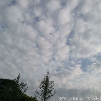聚了又散，散了又聚