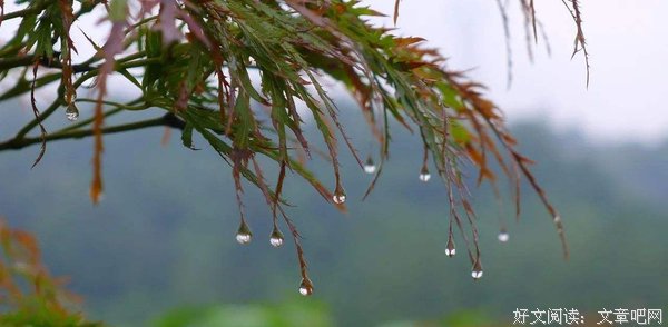烟波茶馆 